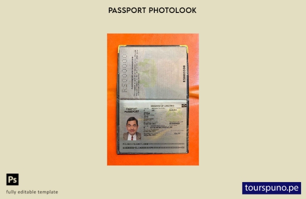 Plantilla de apariencia fotográfica de Lesotho Pass lista para imprimir